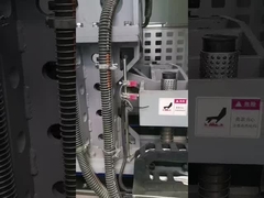 Tortillaproductielijn